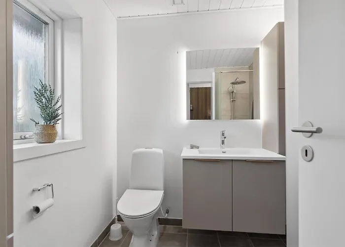 Pet Friendly Home In Ringkobing